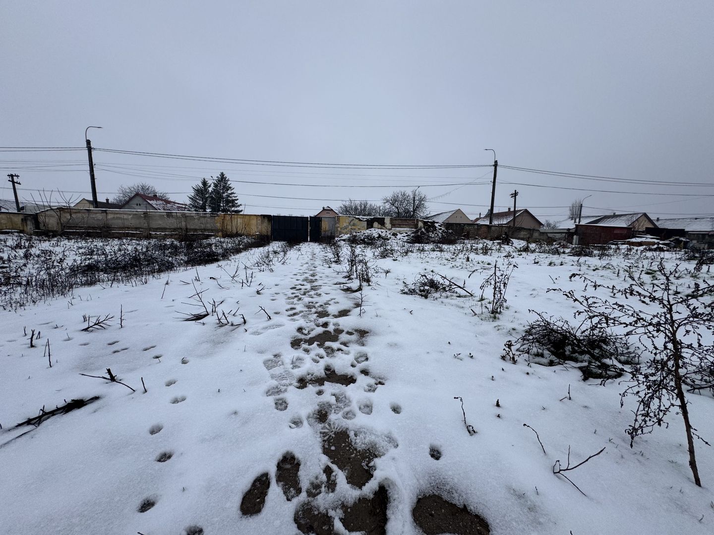 Teren Intravilan Becicherecu Mic 3200mp,F.S 40ml la DN6,Utilitati - Poză 4