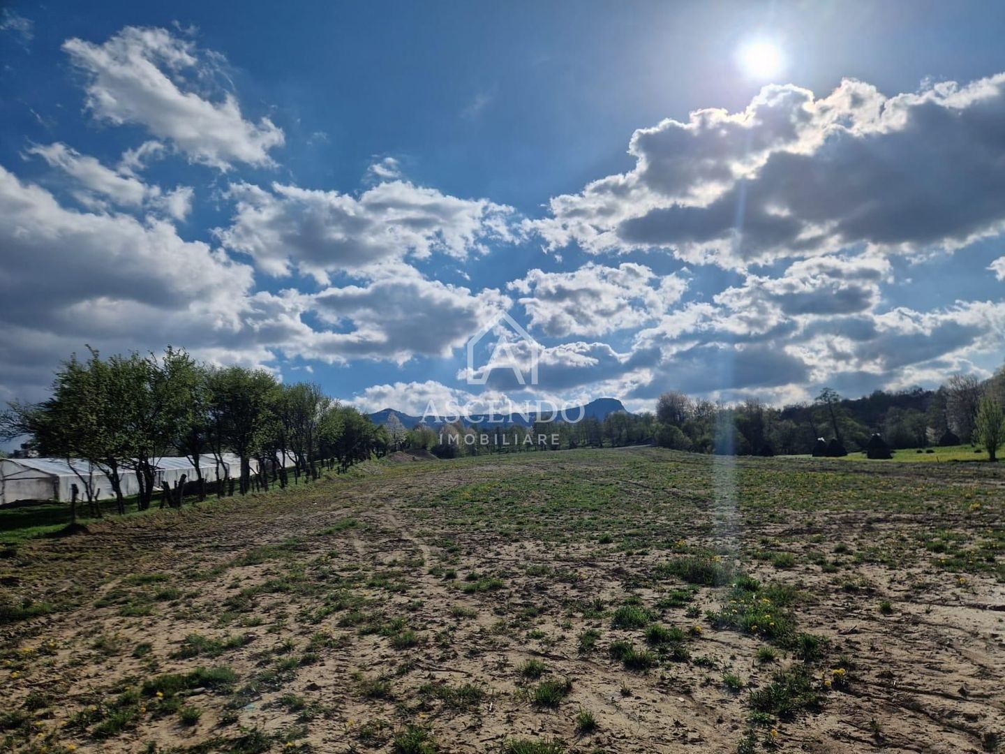 Teren 1,93 ha în Breb, Maramureș – zonă pitorească, Tăul Sărat - Poză 2