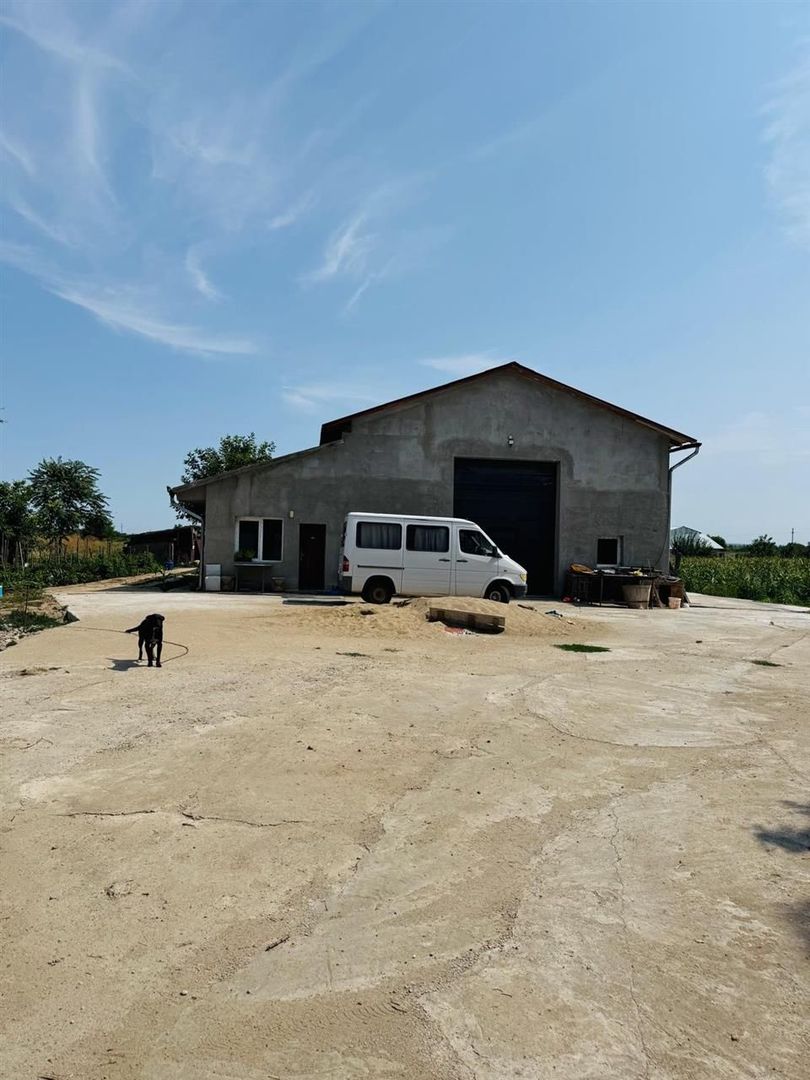 Hala 373 mp + teren in Santaul Mic - Poză 3