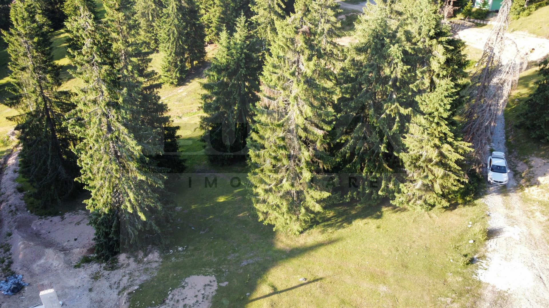 Teren intravilan 250 mp, Arieseni - Partie Ski - Poză 3