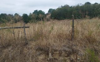 Teren extravilan de vânzare | Vestem | 400 mp | lățime 10 m - Poză 5