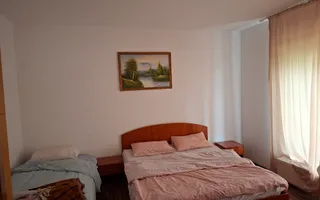 BRASADAS vinde casa individuala 9 cam in Bercu Rosu. - Poză 18