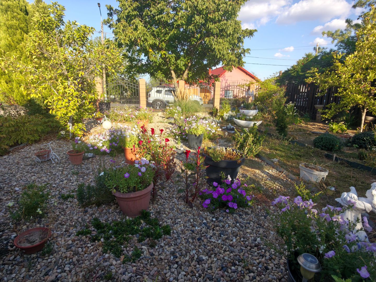 Casa Parter Becicherecu Mic 5 Camere,Vatra Veche,Teren Generos 1600mp,F.s 36 mp - Poză 11