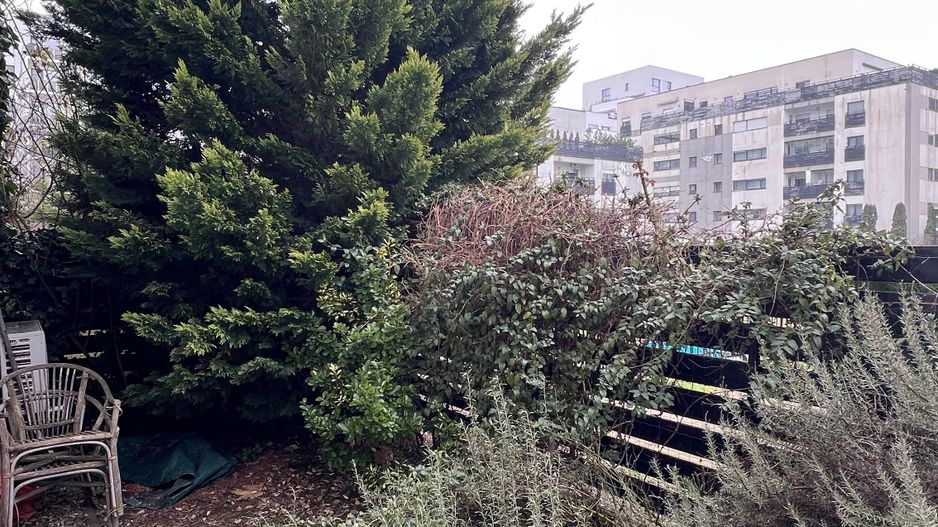 3 camere cu 84 mp de curte | 2 parcari subterane | boxa 8 mp amenajata - Poză 2