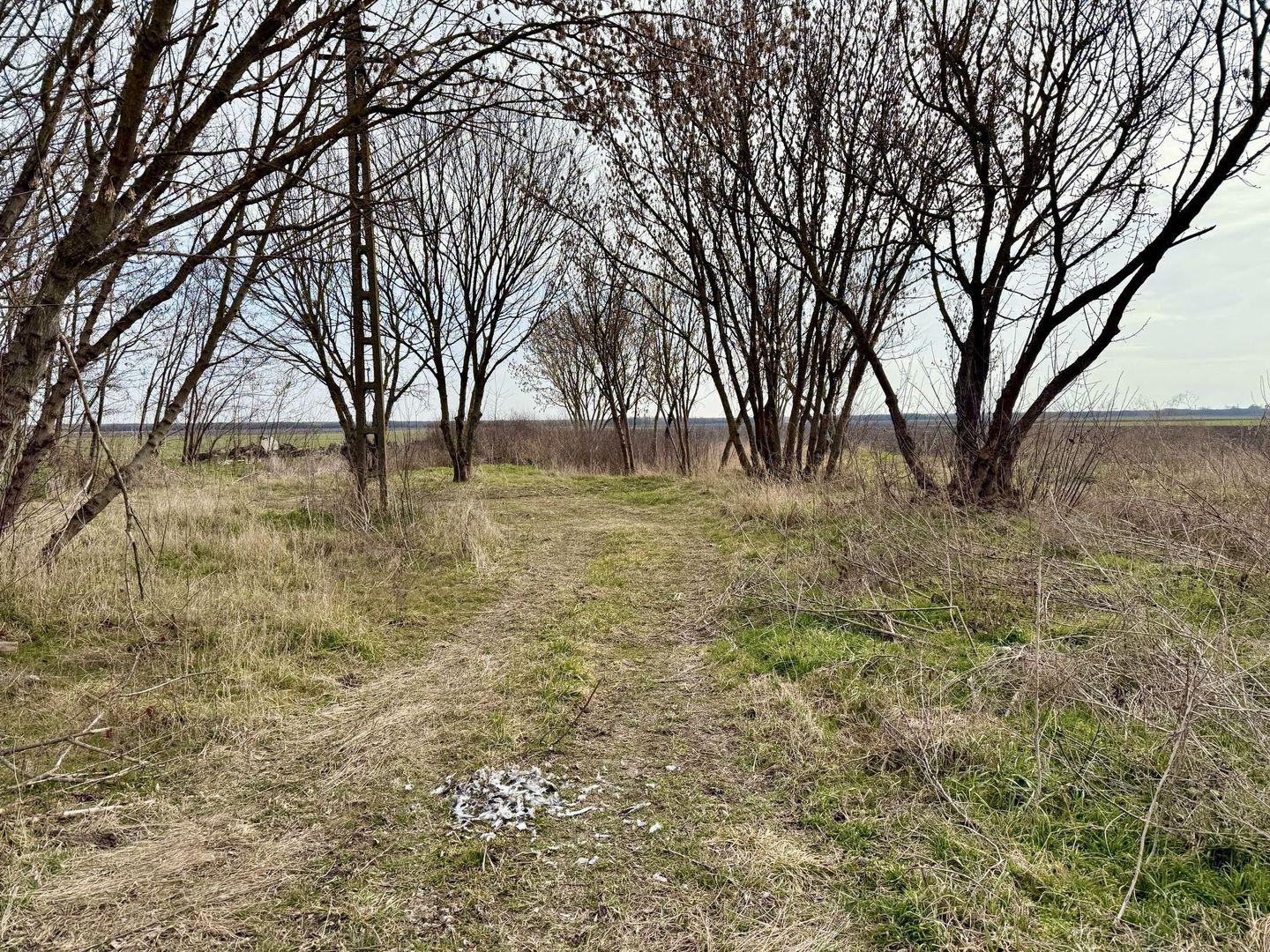 Pret redus Teren generos cu grajd nou in Varsand - Poză 7