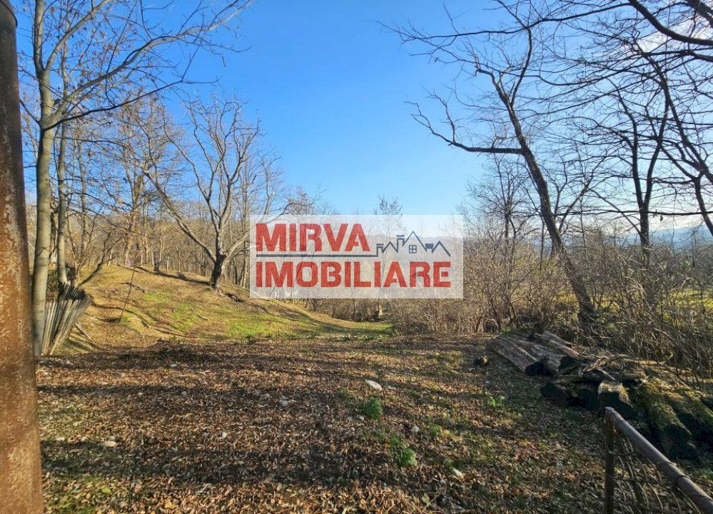 Vanzare casa plus anexa, teren 3843 mp, in Sat Pietriceaua - Poză 3