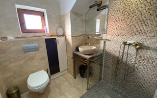 Cochet la intrare in Dumbravita - Poză 10