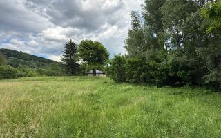 Teren plat-intravilan -3800 mp, cu pădurice și ieșire la râu! - Poză 2