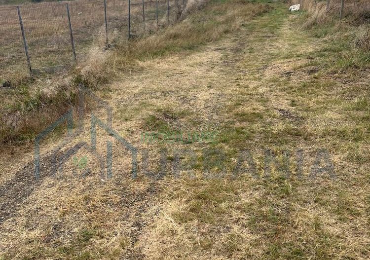 Casă cu 4 camere în Bogonos, Letcani - 80 mp construiți, teren 800 mp - Poză 3