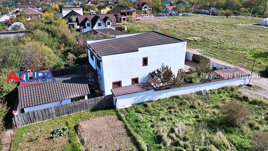 AZURA Imobiliare - 2 Case, 1 Camin - Smeura 250 m din DN zona Hintesti - Poză 26