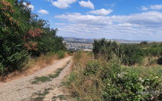 Teren 10.000 mp în Tomesti, zona Vladiceni – oportunitate de investiție - Poză 8