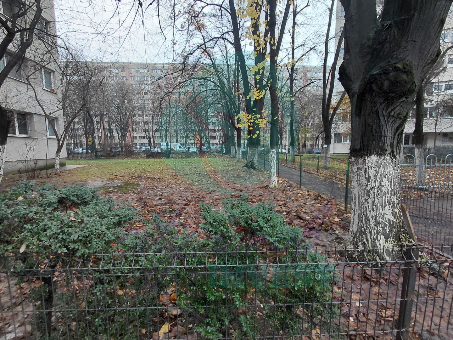 3 camere - Campia Libertatii | ParkLake & Parcul IOR vis-a-vis - Poză 8