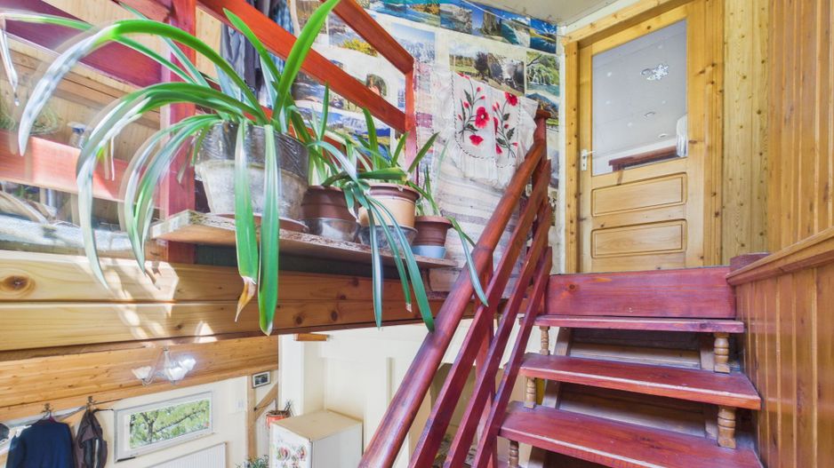 Casă Câmpani, 8000 mp teren, la poalele Apusenilor - Poză 31