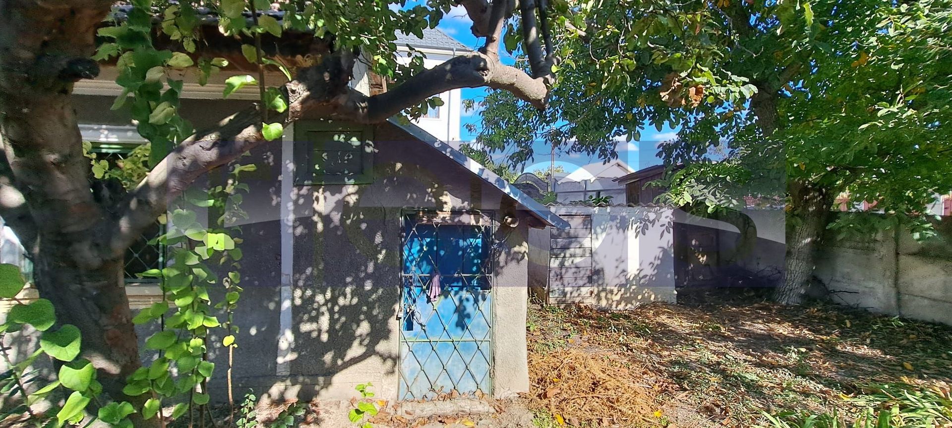 CASA DE VANZARE | ROSIORI DE VEDE | 90 MP | 3 CAMERE | 350 MP TEREN - Poză 8