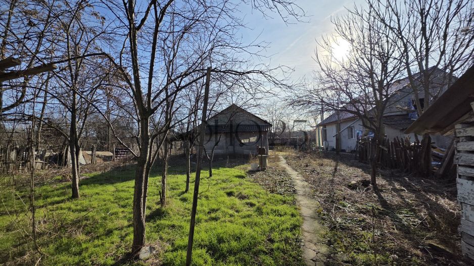 Teren lângă București 6000mp - Poză 4