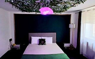 Camera regim hotelier - Valea Lupului, zona Capat Pacurari - Poză 3