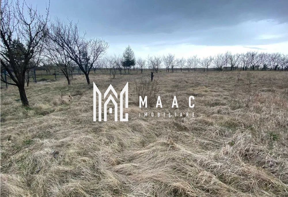 Teren Intravila | 800 mp | Daia Noua - Poză 1