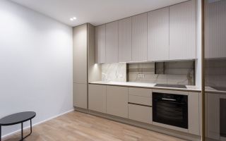 Chirie, apartament, 1 cameră, bul. Ștefan cel Mare, Centru - Poză 2