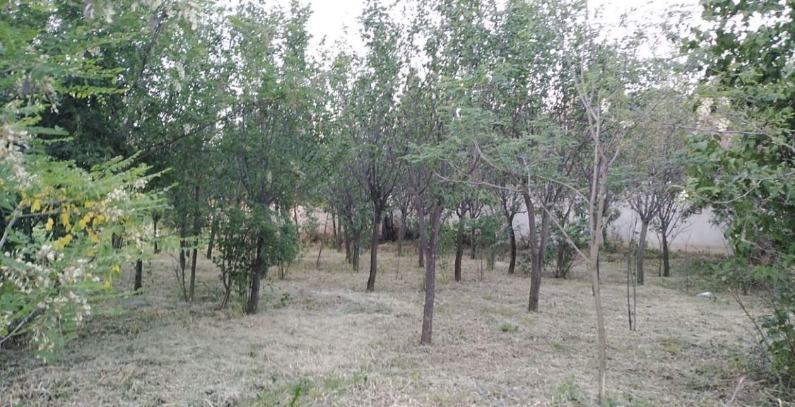 Ocazie unica 2case +1 loc casa/teren - Poză 4