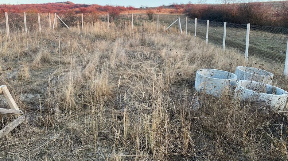 Teren 1800 mp-ideal investitie-panoramic-Zona Cighir Exclusiv - Poză 4