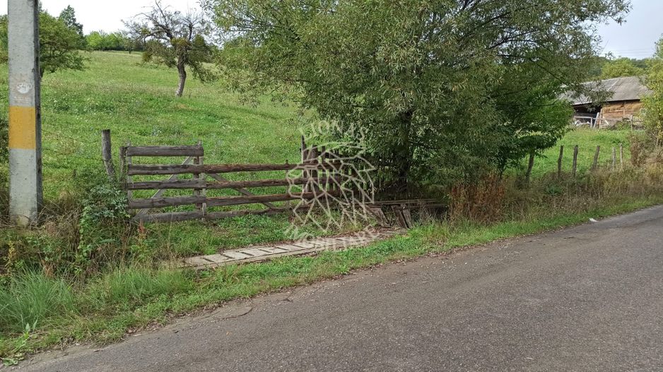 Teren intravilan 12600 mp-utilitati-ideal case, investitie-Livezile - Poză 6