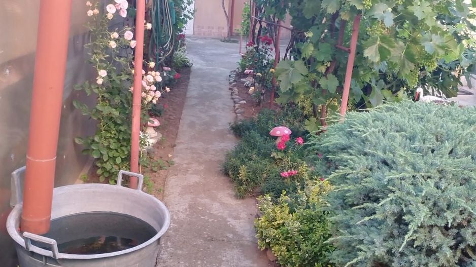 ageuropa.ro vinde casa in zona 14 Mai cu 3 cam. si teren aferent de 500mp. - Poză 11