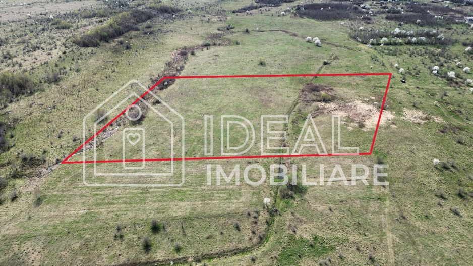 Teren 25.500 mp Valea Avrigului - Poză 1