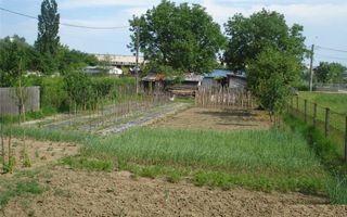 AZURA Imobiliare - Teren Auchan Gavana si Casa Bonus - Poză 5