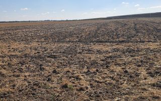 TEREN  EXTRAVILAN 7.802 mp –DOMNESTI, ILFOV - Poză 1