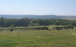 Teren intravilan Schit Hadambu, Com. Mironeasa, Iași – 5.000 mp - Poză 3