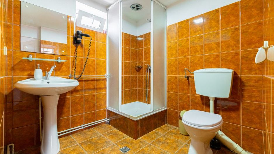 Casa + Pensiune deosebita - Orlat, Sibiu - Poză 42