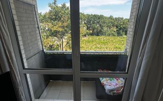 Apartament 2 camere | modern | Copou | parcare inclusă – 550 €/lună - Poză 5