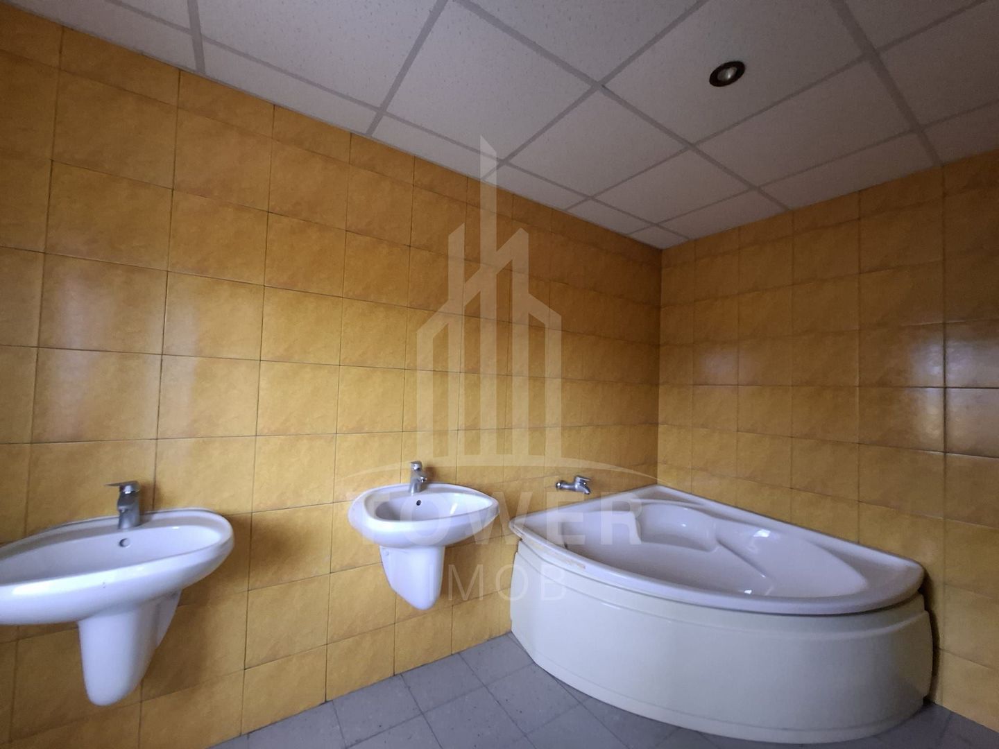 Hală + spații de birouri + apartament - Poză 10