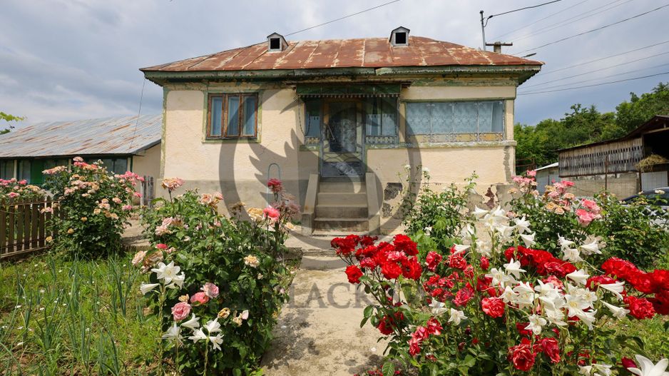 Casa cu 5 camere de vanzare | 700 mp teren | Valea Dulce, Prahova - Poză 1