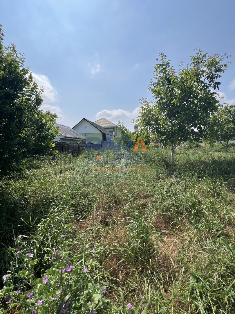 5200 mp intravilan - Str Viitorului (zona Abator) - Poză 4