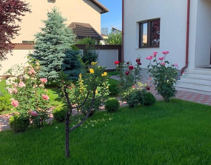 Bragadiru, vila individuala , 8 camere, piscina exterioara - Poză 3