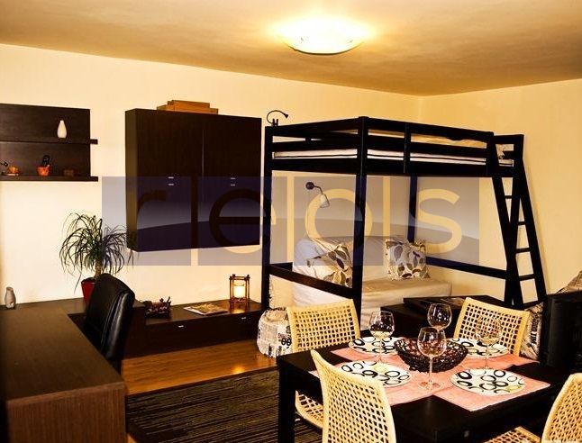 TEIUL DOAMNEI  GARSONIERA 40 MP | DECOMANDAT | 4 MINUTE PARCUL TEI - Poză 2