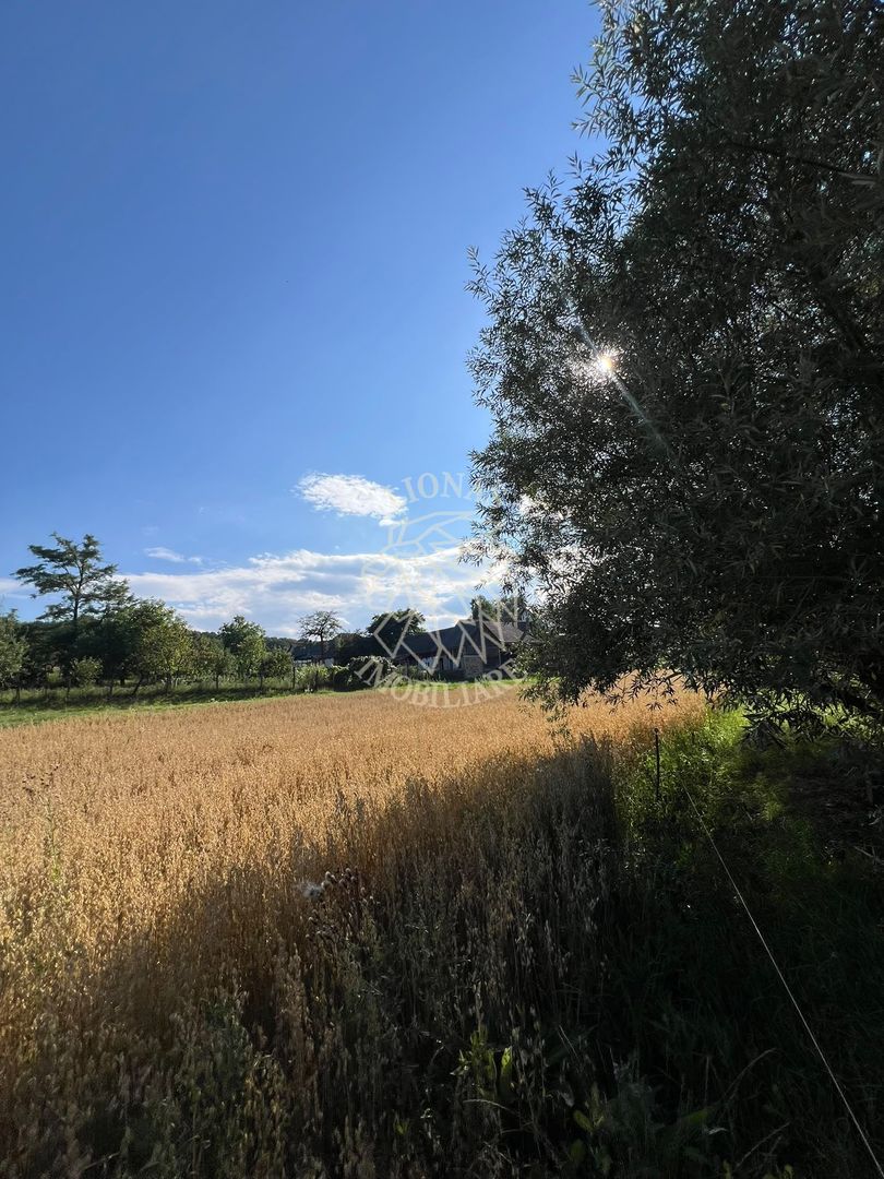 Teren intravilan 6800 mp cu utilitati-Parcelabil-Sieu 21km de Bistrita - Poză 6