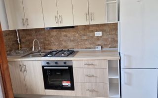 Casă de închiriat cu 4 camere, zona Bucium - Plopii fără Soț, Vladiceni - Poză 1