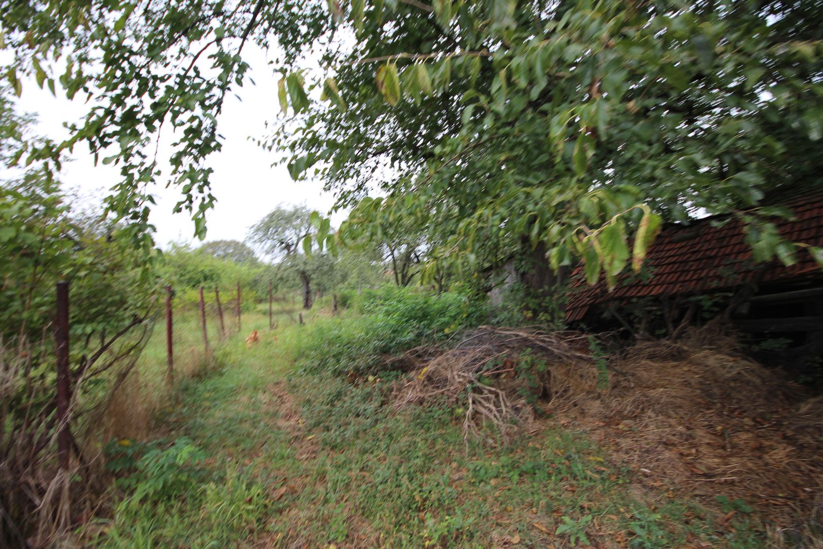 Teren de vânzare - 1900 mp Dumbravita - Poză 2