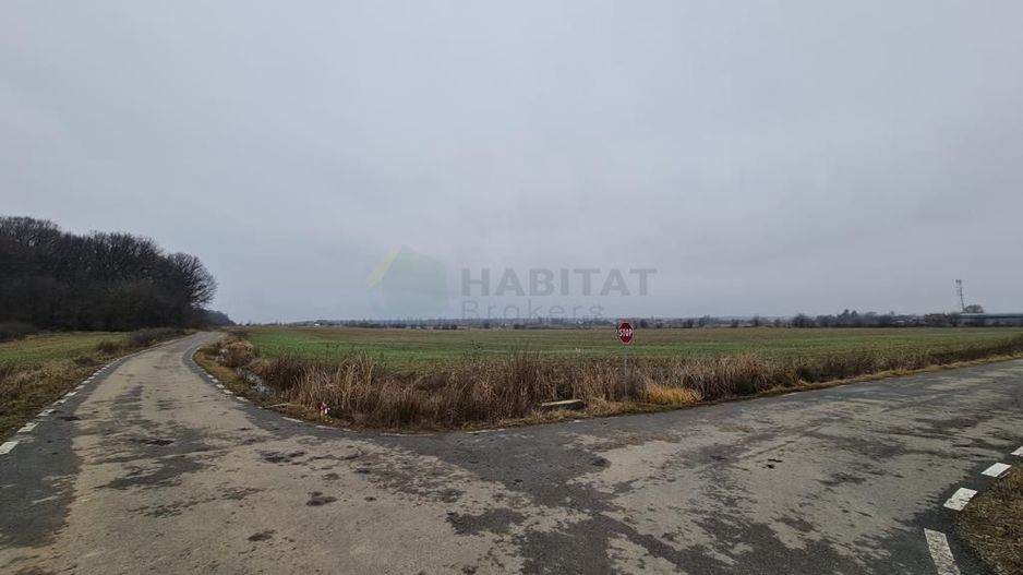 Teren | Poiana Ciolpani | Iris Orangerie - Poză 8