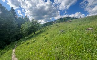 Teren Intravilan | Brodina de Jos | 16900 MP - Poză 7