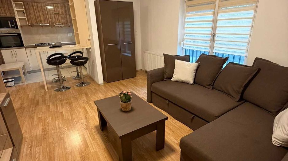 Inchiriere Apartament 3 Camere Titan Pet Friendly - Poză 1