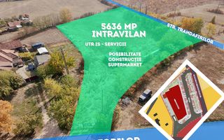 Teren intravilan 5.636 mp UTR Is – Jucu de Mijloc - Comercial/Servicii - Poză 3