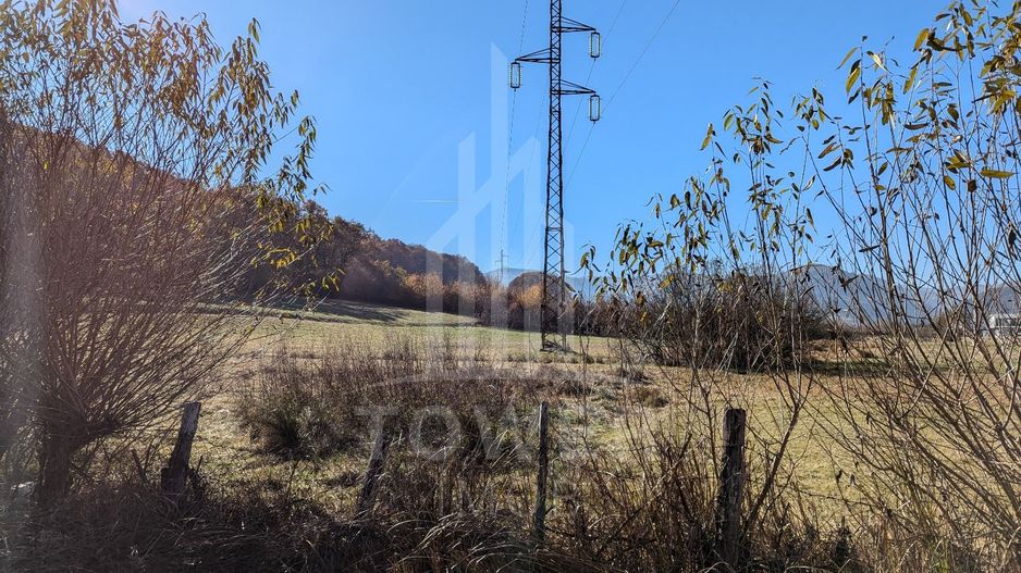 Teren extravilan in Tropinii Noi (Rasinari)-2592 mp - Poză 7