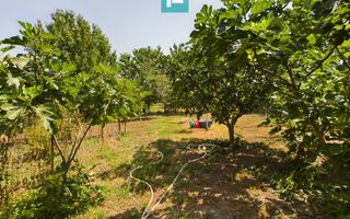 Casă cu livadă de pomi în Dorobanți - Poză 20