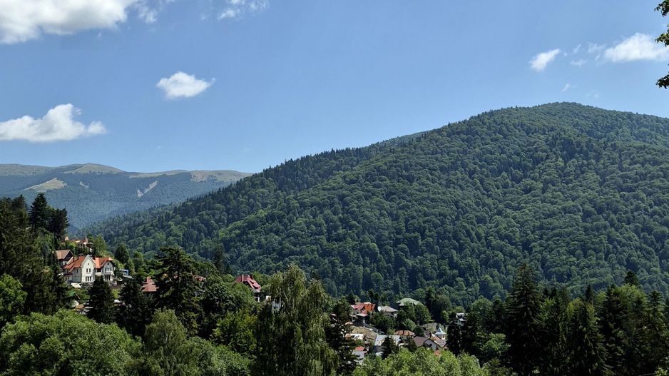 Cladire Pensiune D+P+2+M+Pod - 1089 mp + teren 893 mp - Sinaia - comision 0% - Poză 4