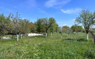 Casă de vacanță + livadă | teren 3000 mp | Chijic | Bihor - Poză 13