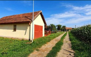 Vand casa superba Sacaseni (langa Tasnad bai termale) - Poză 4