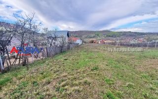 AZURA Imobiliare - Teren Babana Central Primarie - Poză 11